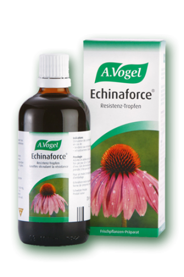 ECHINAFORCE_100_D.png