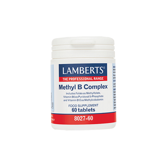 MethylB_Complex.png