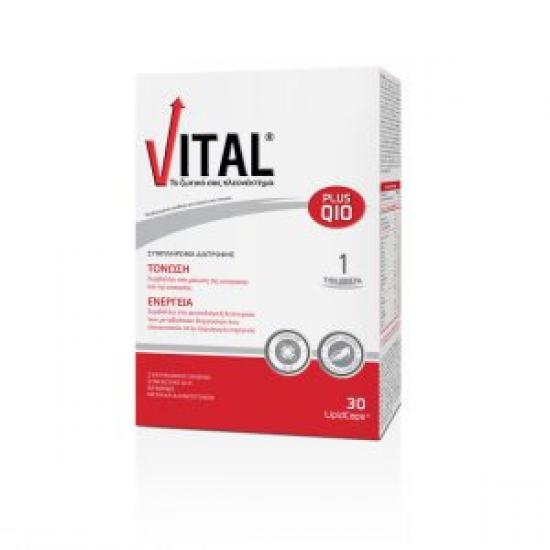 V1_Vital_Q10_30_GR-300x300.jpg